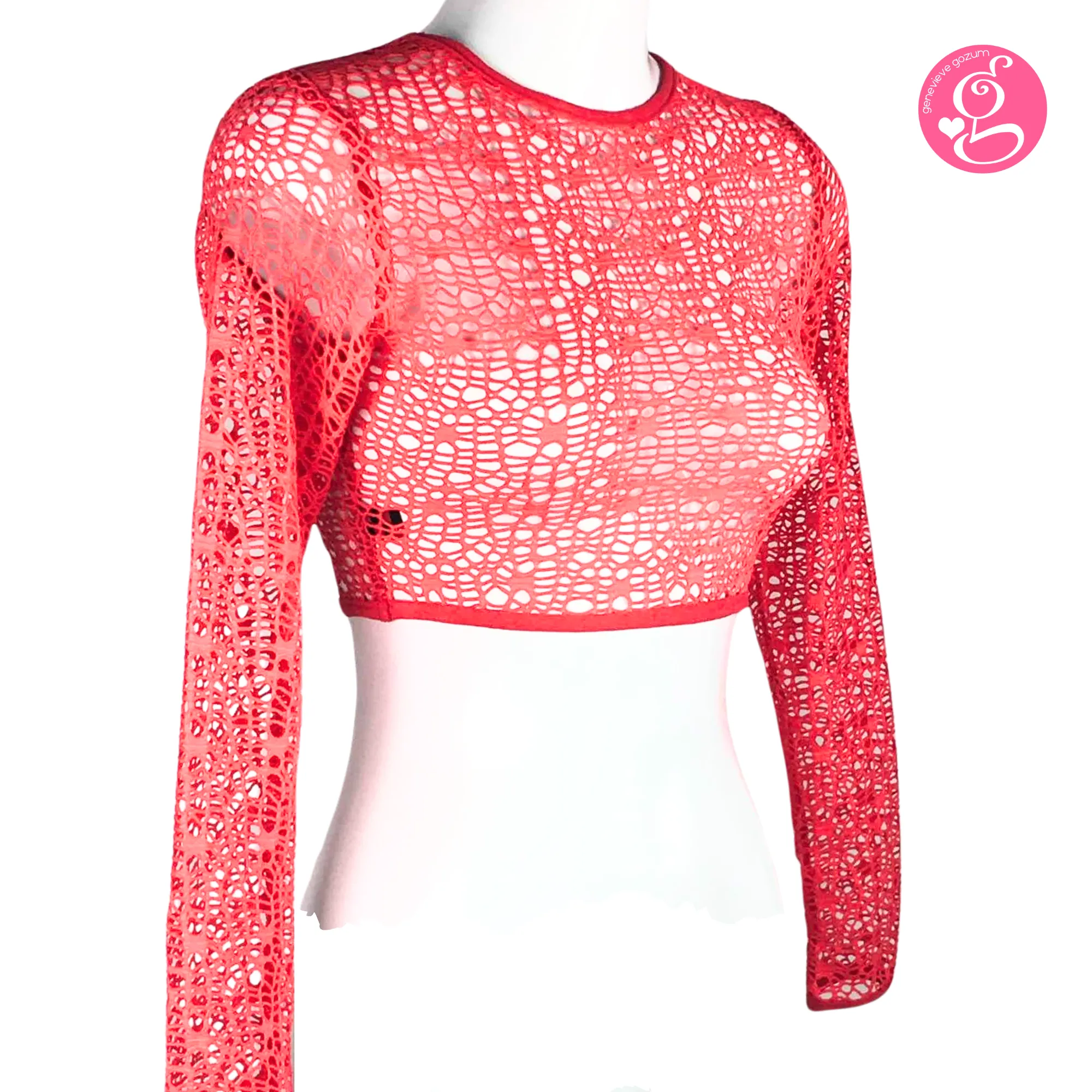 Genevieve Gozum Hollow Net Long Sleeve Crop Top
