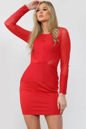 Lace Detail Mesh Bodycon Mini Dress